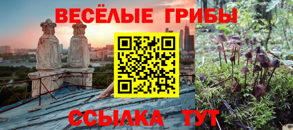 даркнет сайт  Вход с VPN  Ивантеевка  Галлюциногенные грибы мицелий  Псилоцибиновые грибы Psilocybine cubensis 