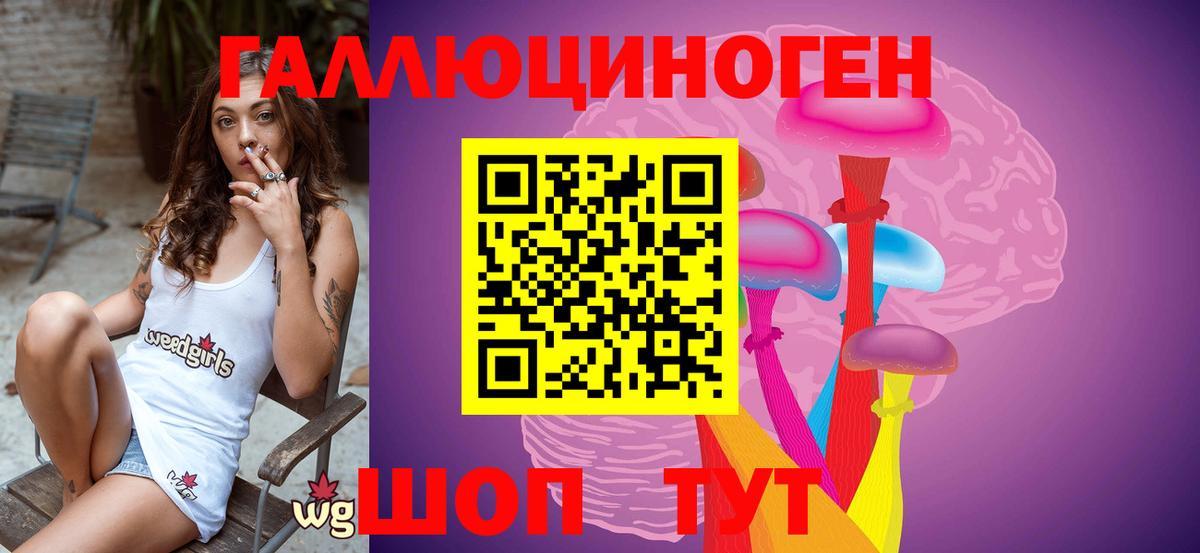 Псилоцибиновые грибы Psilocybine cubensis Ивантеевка